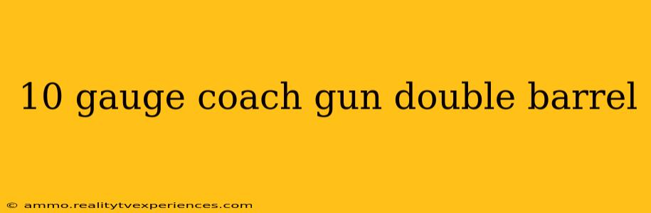 10 gauge coach gun double barrel