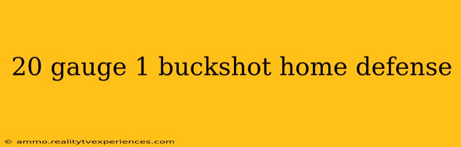 20 gauge 1 buckshot home defense