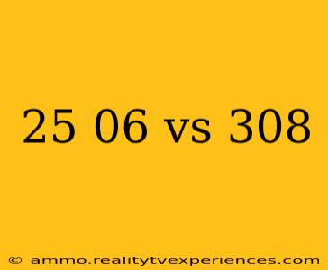 25 06 vs 308