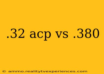 .32 acp vs .380