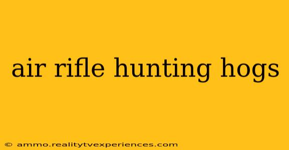 air rifle hunting hogs