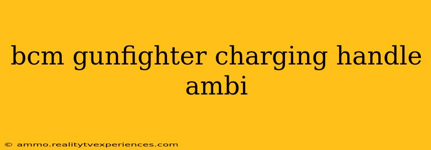 bcm gunfighter charging handle ambi