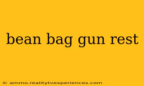 bean bag gun rest