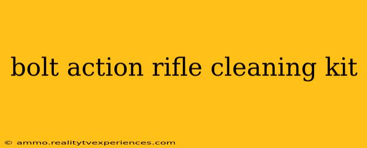 bolt action rifle cleaning kit