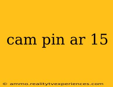 cam pin ar 15