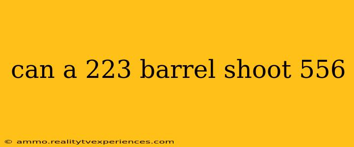 can a 223 barrel shoot 556