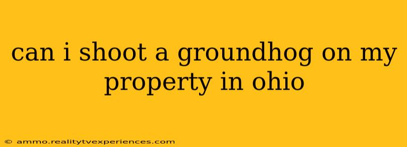 can i shoot a groundhog on my property in ohio