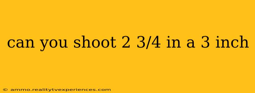 can you shoot 2 3/4 in a 3 inch