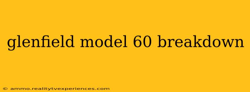 glenfield model 60 breakdown