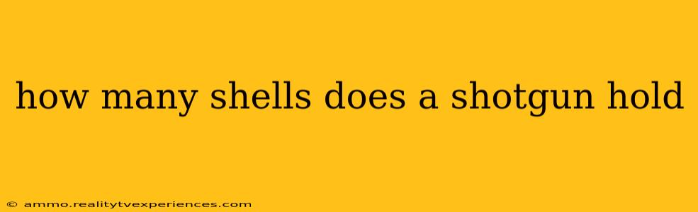 how many shells does a shotgun hold