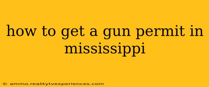 how to get a gun permit in mississippi