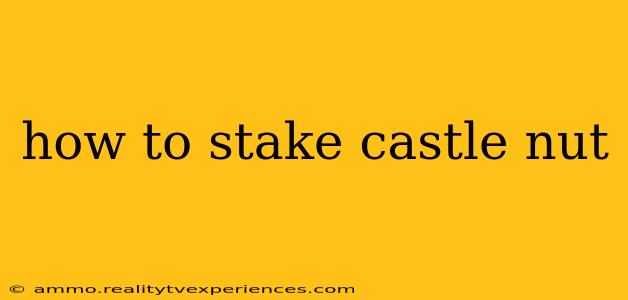 how to stake castle nut