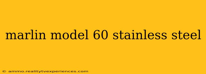 marlin model 60 stainless steel