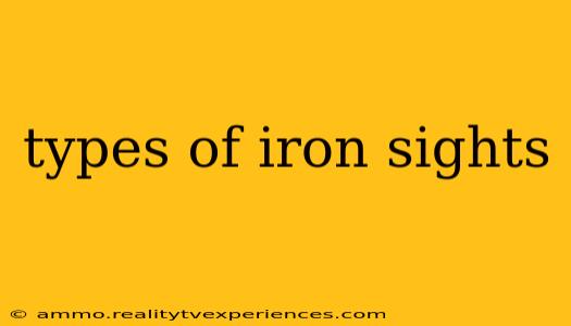 types of iron sights