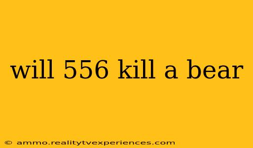 will 556 kill a bear