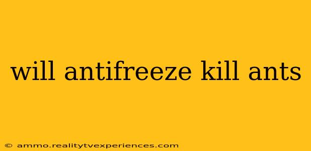 will antifreeze kill ants