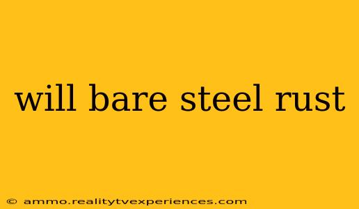 will bare steel rust