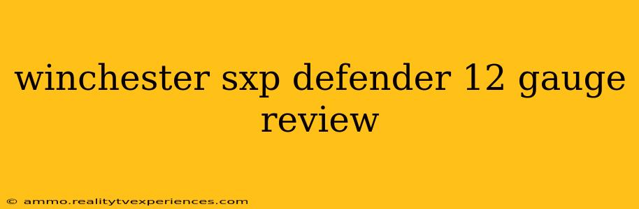 winchester sxp defender 12 gauge review